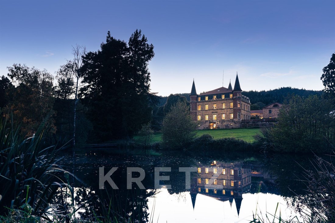 Castle in Marols, Auvergne-Rhône-Alpes, France 3 - 16995679