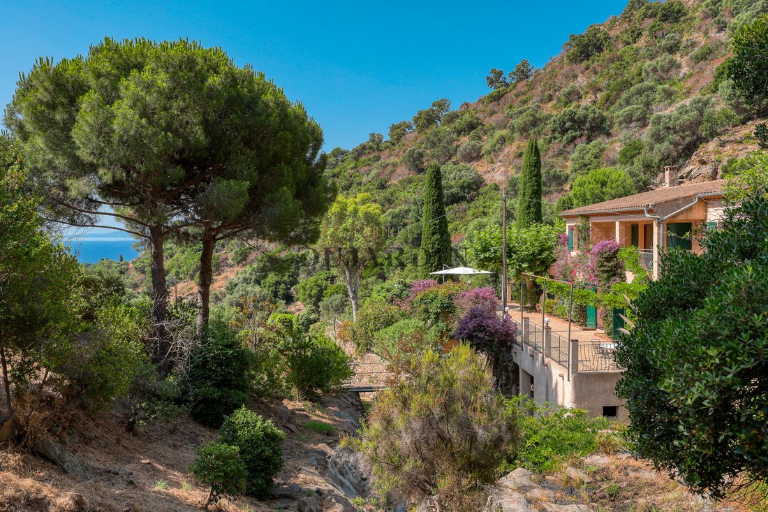 House in Le Lavandou, Provence-Alpes-Côte d'Azur, France 1 - 17091693