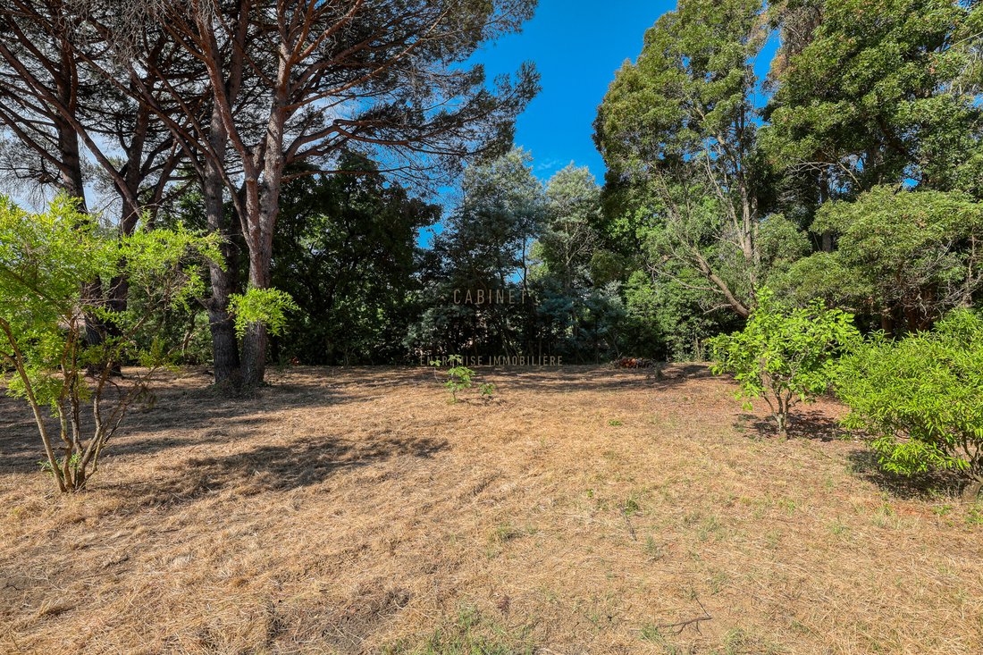 Zone Ouest Urbaine, Saint-Tropez, France 3 - 17091682