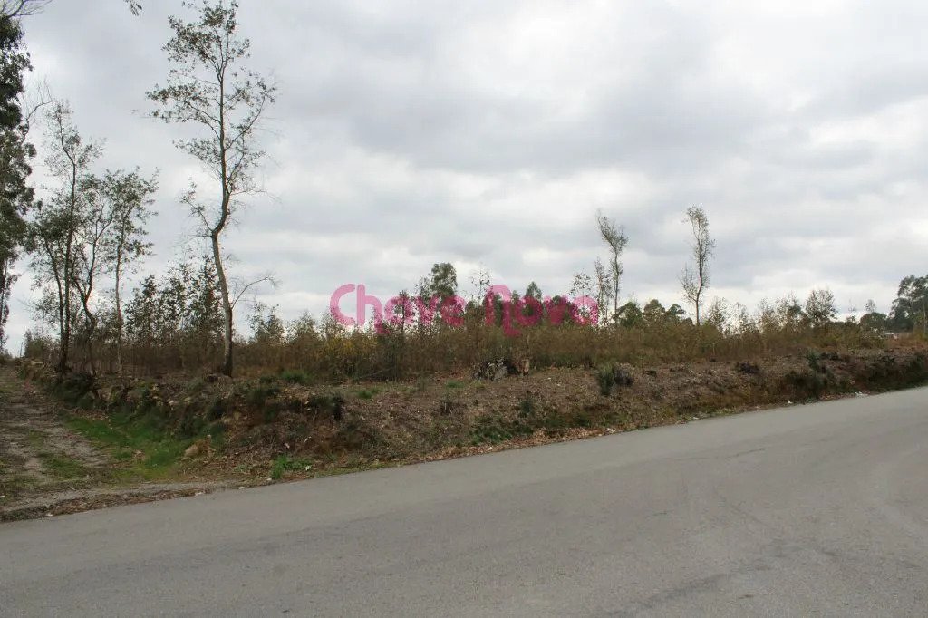 Land in Santa Maria da Feira, Aveiro District, Portugal 1 - 17090118