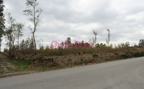 Terreno en Santa Maria da Feira, Distrito de Aveiro, Portugal 1