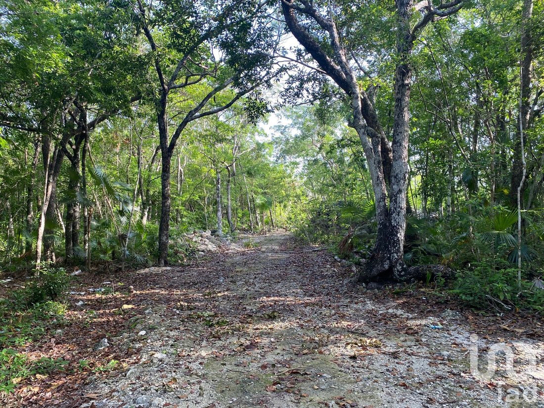 Land in Tulum, Quintana Roo, Mexico 2 - 17090571