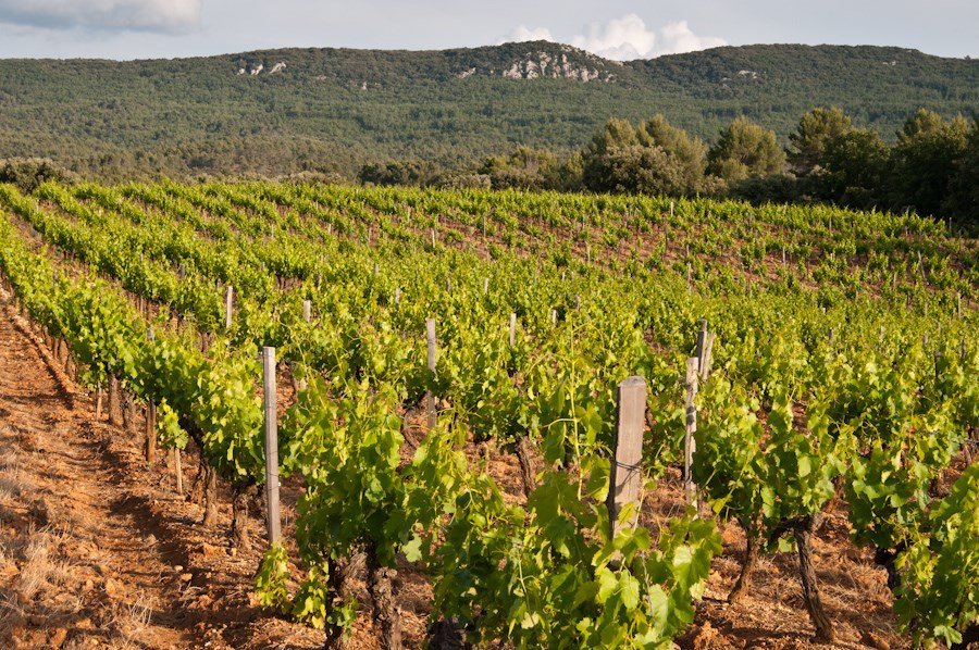 House in Mazenod-Bellevue-Saint Donat-Banon, Aix-en-Provence, France 1 - 17091735