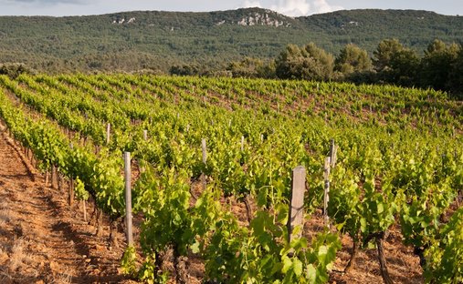 House in Mazenod-Bellevue-Saint Donat-Banon, Aix-en-Provence, France 1