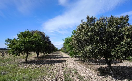 Provencal Farmhouse Of 277m² With Swimming Pool On Land Of Almost 2ha