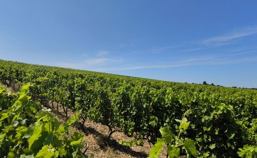 Provencal Farmhouse Of 277m² With Swimming Pool On Land Of Almost 2ha