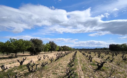Provencal Farmhouse Of 277m² With Swimming Pool On Land Of Almost 2ha