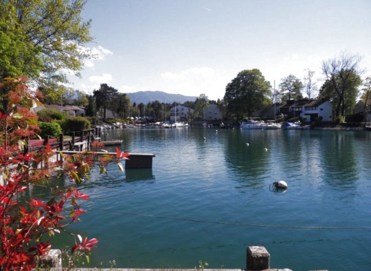 Apartment in Cités, Thonon-les-Bains, France 5 - 17092297