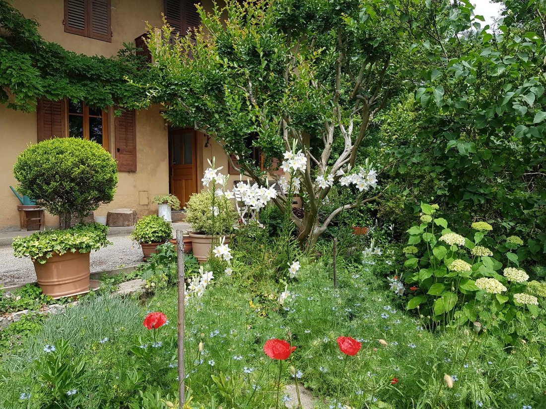 House in Saint-Pierre-d'Albigny, Auvergne-Rhône-Alpes, France 2 - 17092339
