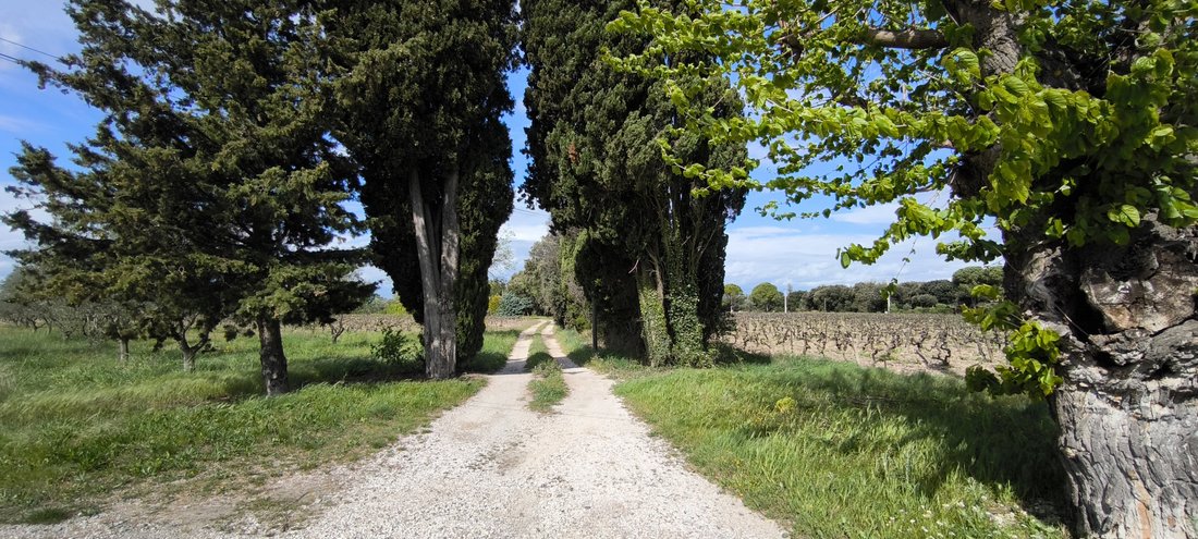 House in Visan, Provence-Alpes-Côte d'Azur, France 4 - 17092070