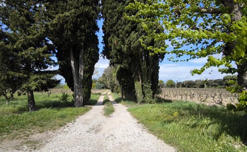 Provencal Farmhouse Of 277m² With Swimming Pool On Land Of Almost 2ha
