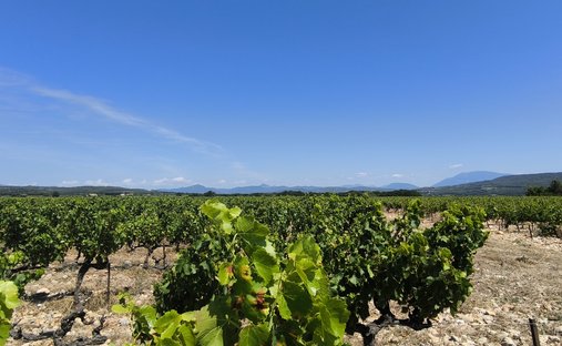 Provencal Farmhouse Of 277m² With Swimming Pool On Land Of Almost 2ha