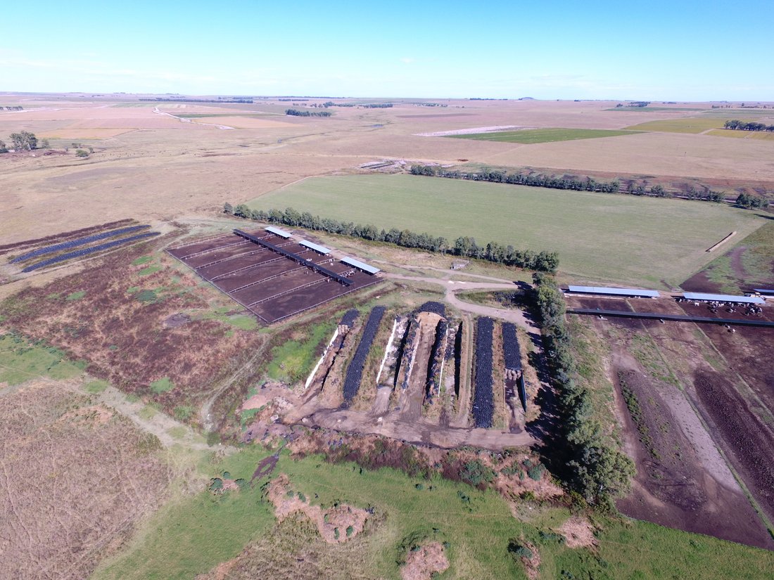 Farm Ranch in Ngwathe Local Municipality, Free State, South Africa 3 - 17091410