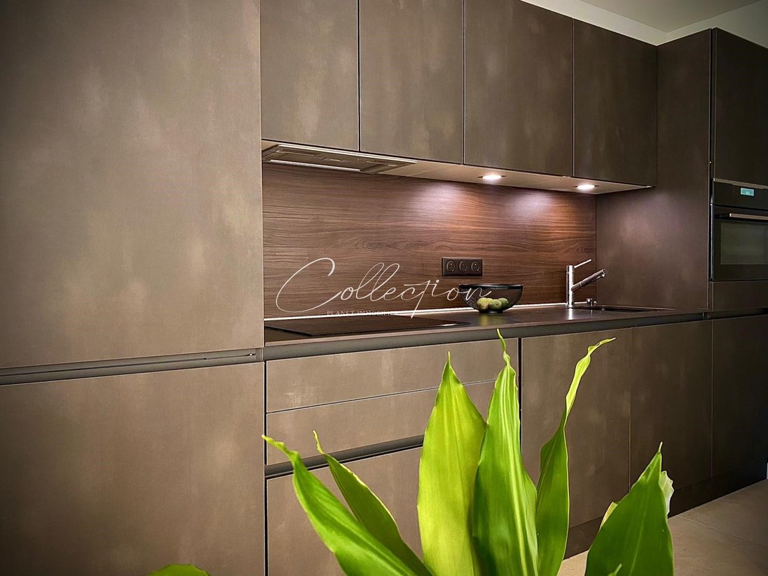 Apartment in Cannes, Provence-Alpes-Côte d'Azur, France 5 - 17091946