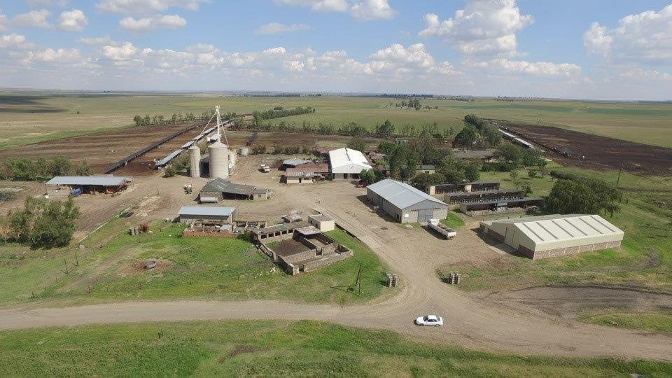 Farm Ranch in Ngwathe Local Municipality, Free State, South Africa 4 - 17091410