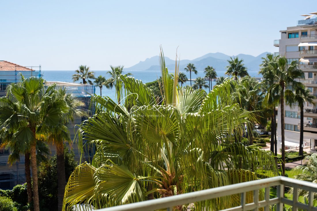 Apartment in Cannes, Provence-Alpes-Côte d'Azur, France 5 - 17091770