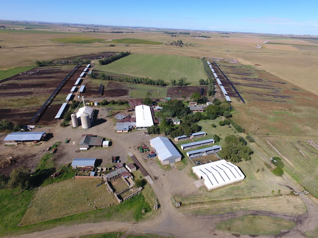 Farm Ranch in Ngwathe Local Municipality, Free State, South Africa 1 - 17091410