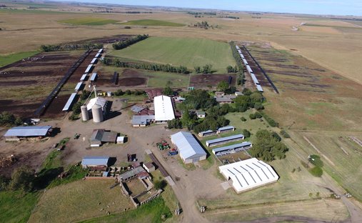 Farm Ranch in Vlaklaagte, Free State, South Africa 1