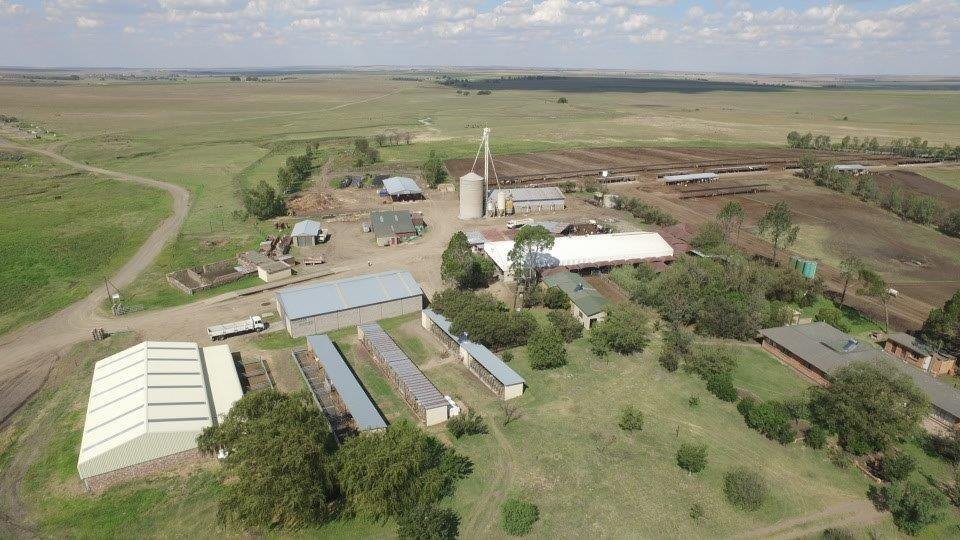 Farm Ranch in Ngwathe Local Municipality, Free State, South Africa 5 - 17091410