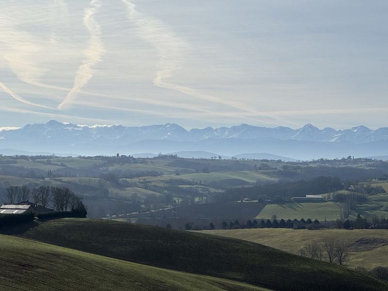 L'Isle-en-Dodon, Occitania, France 4 - 17095101