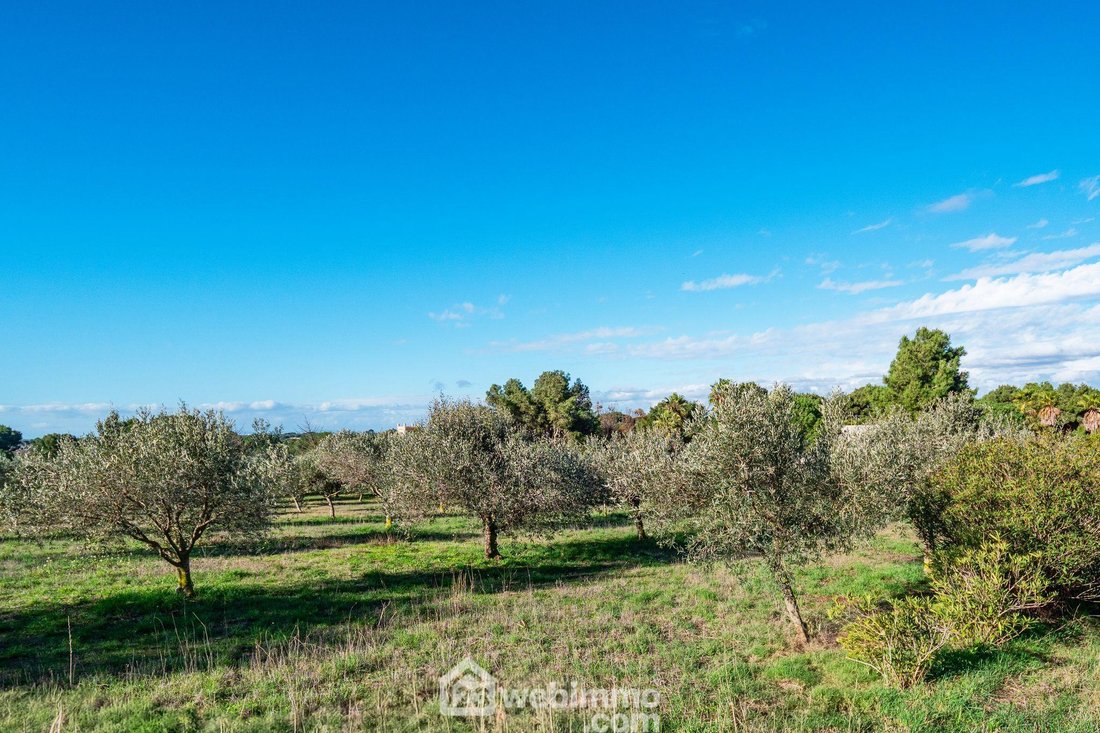 Land in Cooperative, Agde, France 5 - 17095261