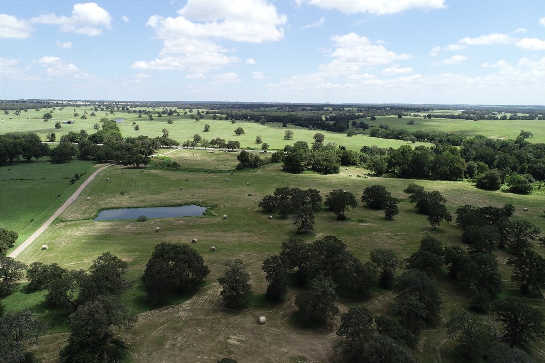 Farm Ranch in Thrall, Texas, United States 1 - 16500580
