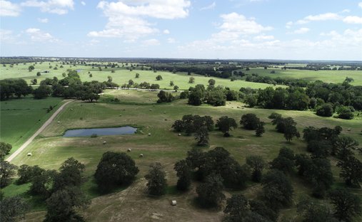 Farm Ranch in Thrall, Texas, United States 1
