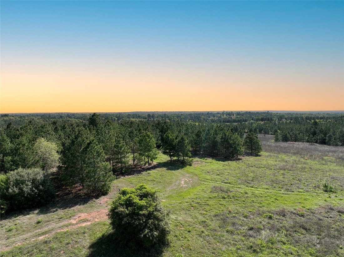 Land in Bastrop, Texas, United States 4 - 15538917