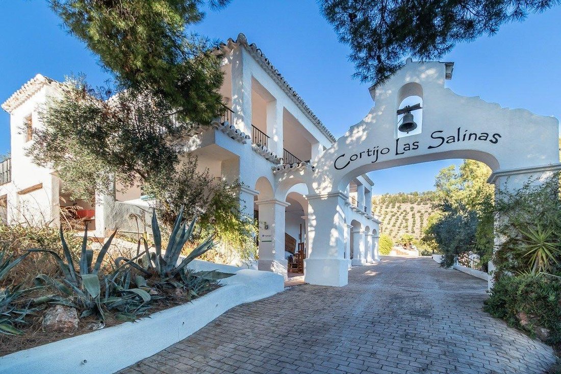 Villa in Alcaudete, Andalusia, Spain 4 - 17094591