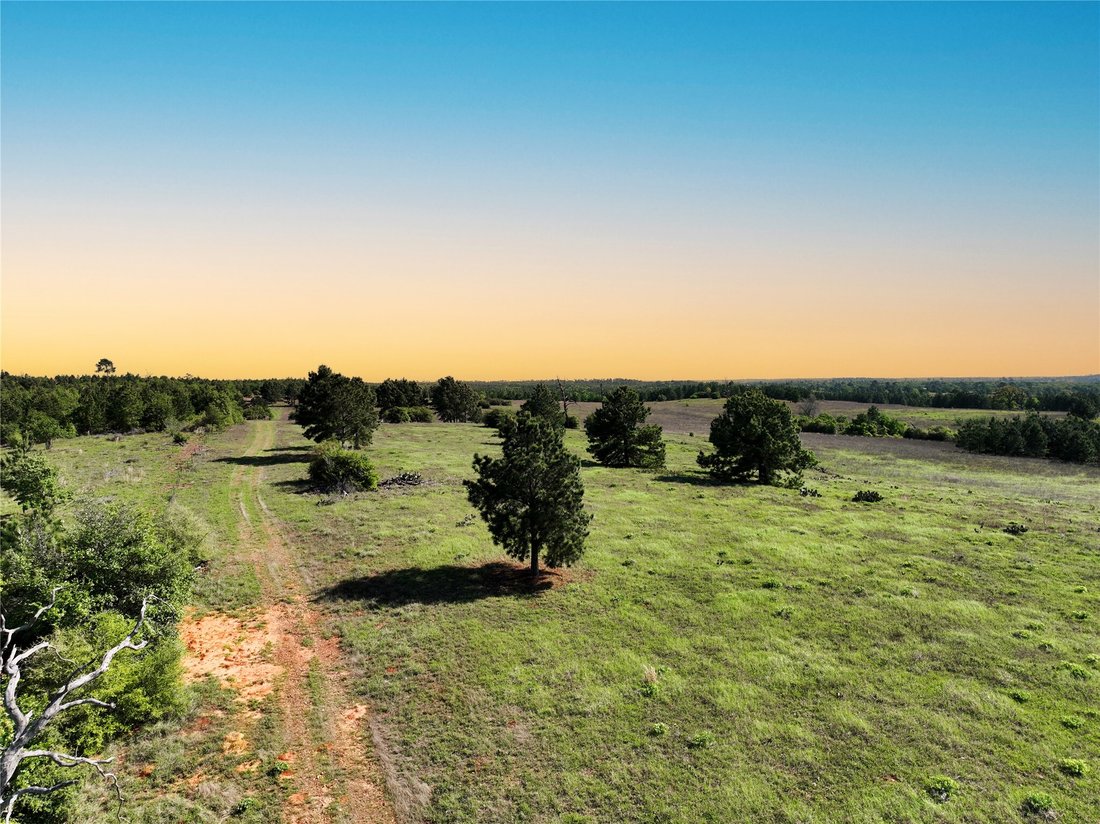 Land in Bastrop, Texas, United States 3 - 15538917