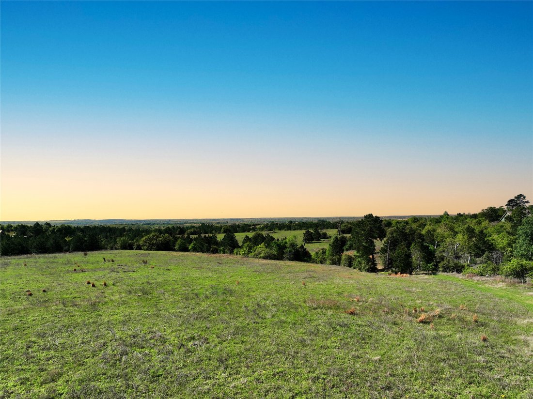 Land in Bastrop, Texas, United States 2 - 15538917