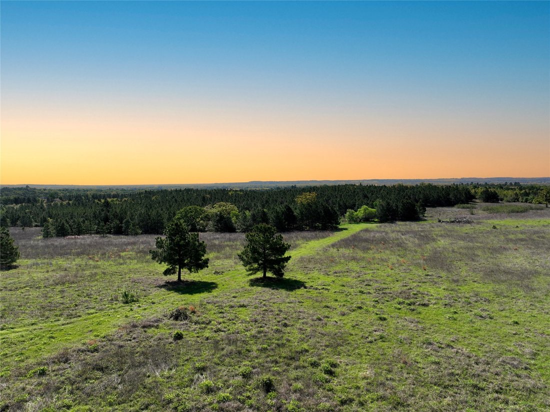 Land in Bastrop, Texas, United States 5 - 15538917