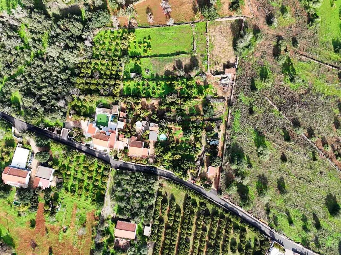 Farm Ranch in Silves, Algarve, Portugal 3 - 17097602