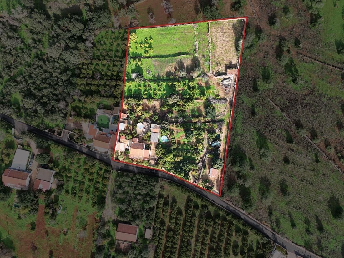 Farm Ranch in Silves, Algarve, Portugal 2 - 17097602