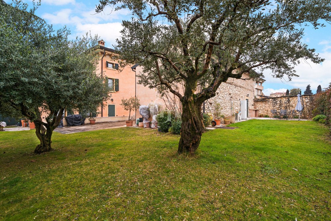 House in Localita Produttiva Progni-Pangoni, Veneto, Italy 3 - 17097094