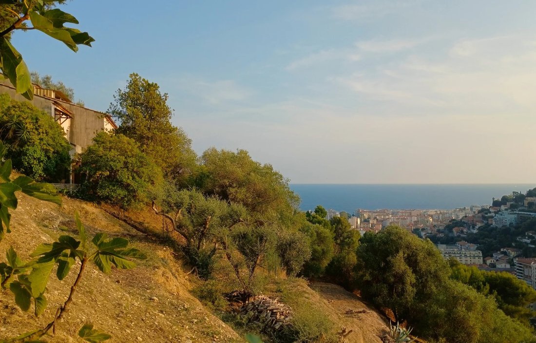 House in Nice, Provence-Alpes-Côte d'Azur, France 3 - 17097037