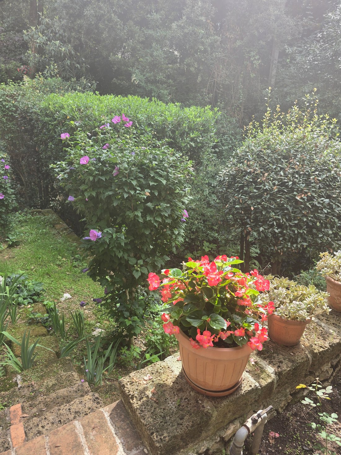 Villa in Poggio Catino, Lazio, Italy 2 - 17130525