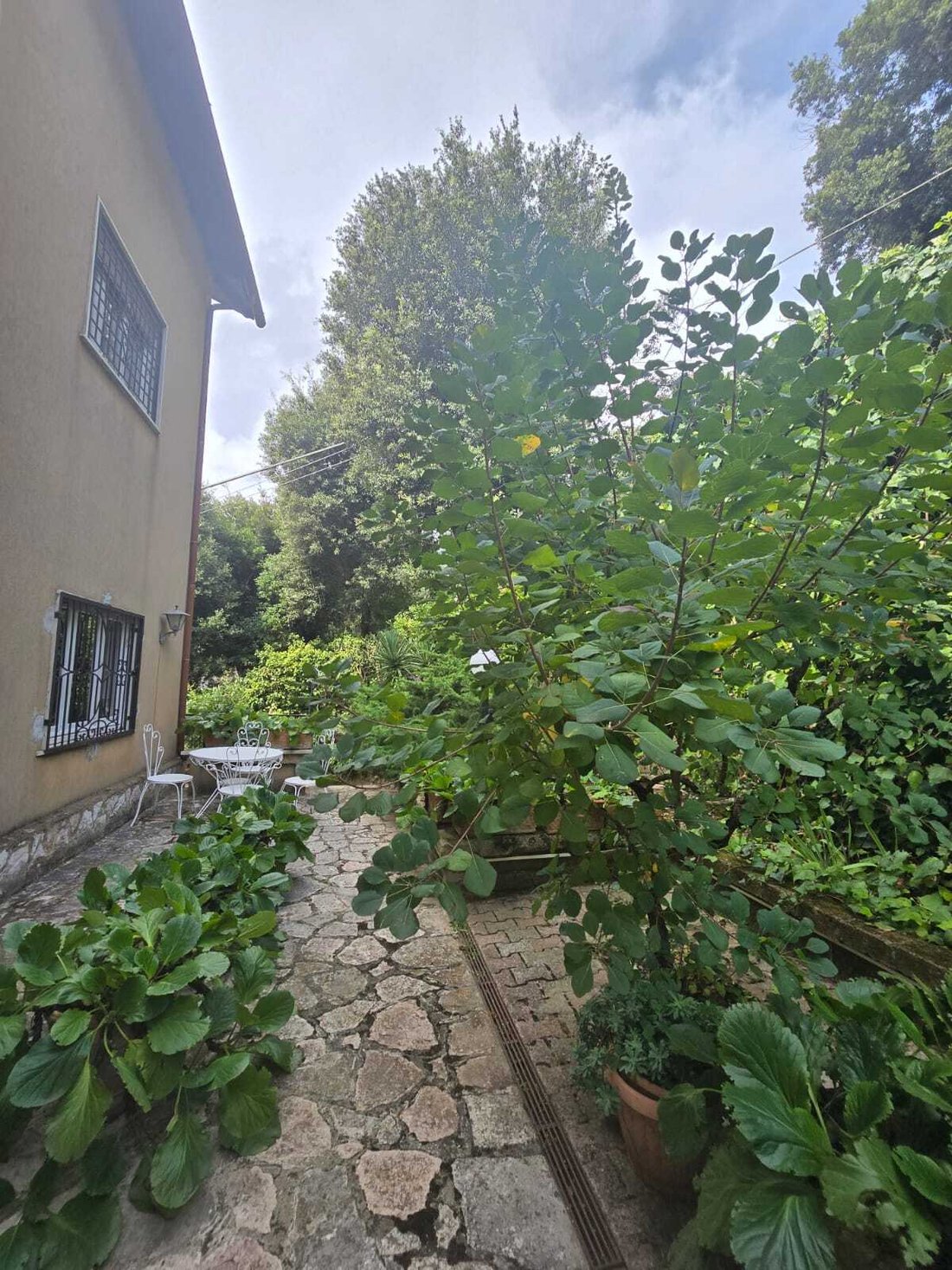 Villa in Poggio Catino, Lazio, Italy 5 - 17130525