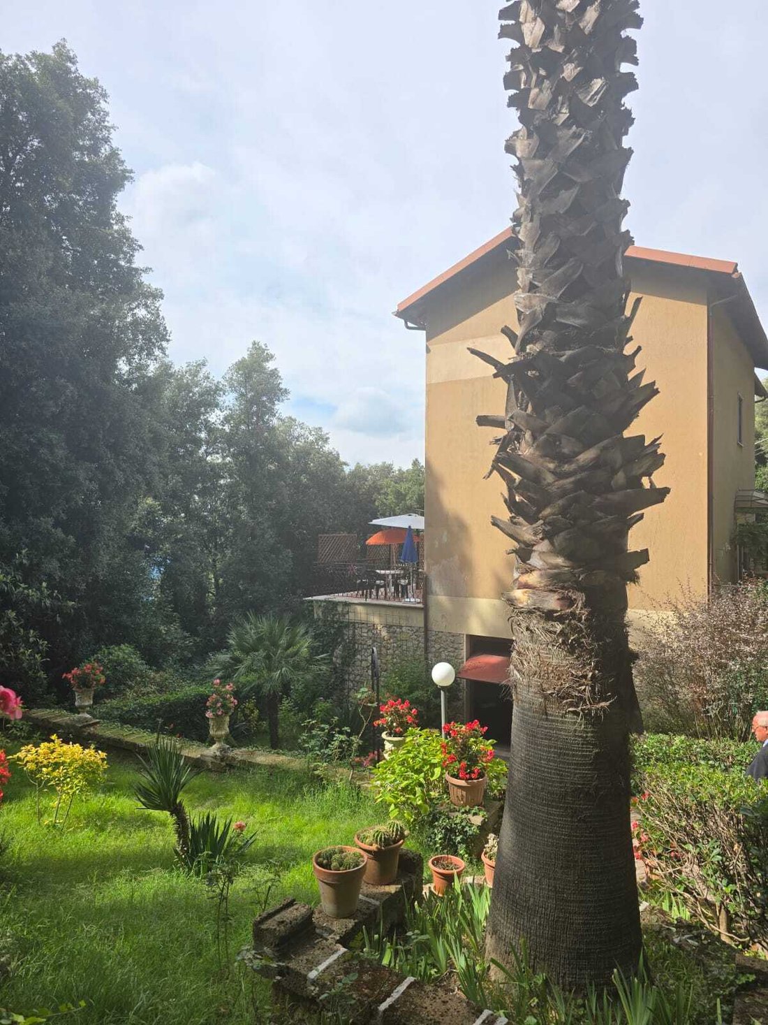 Villa in Poggio Catino, Lazio, Italy 3 - 17130525