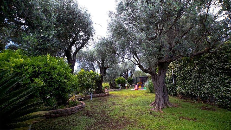 Villa in Budva, Budva Municipality, Montenegro 5 - 17128015