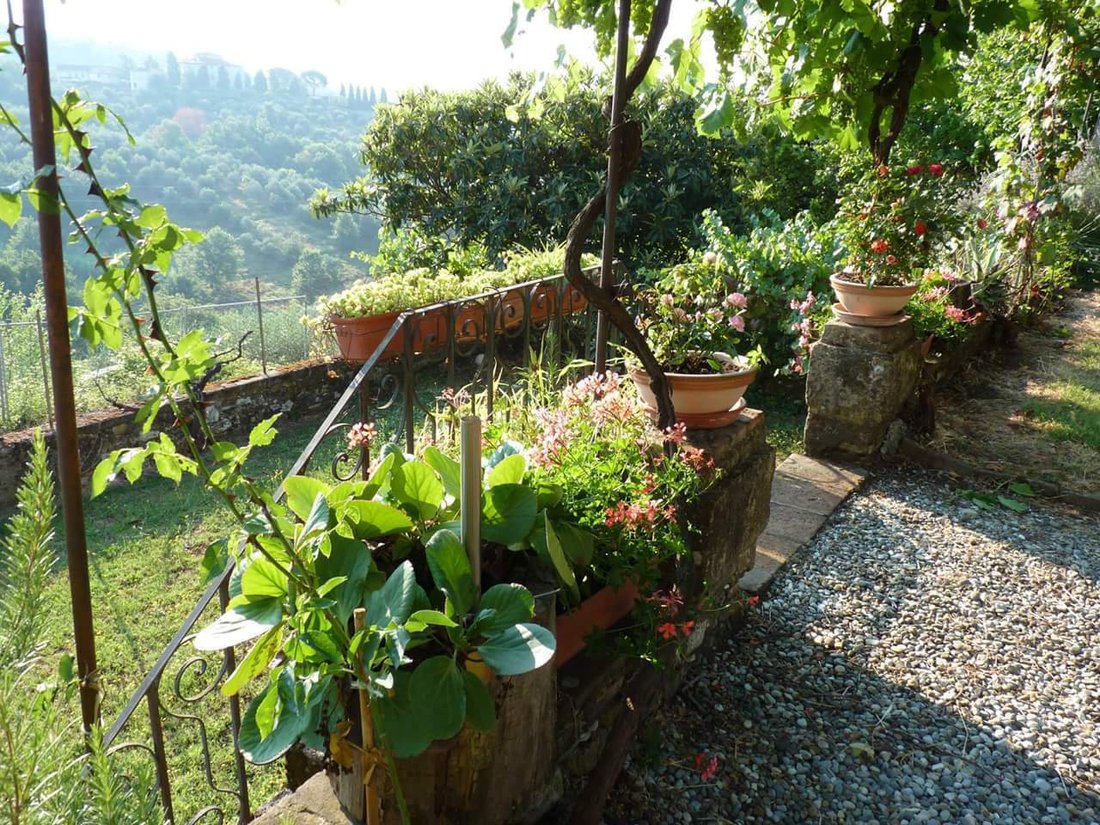 Country House in Pieve di Brancoli, Lucca, Tuscany 5 - 12885182