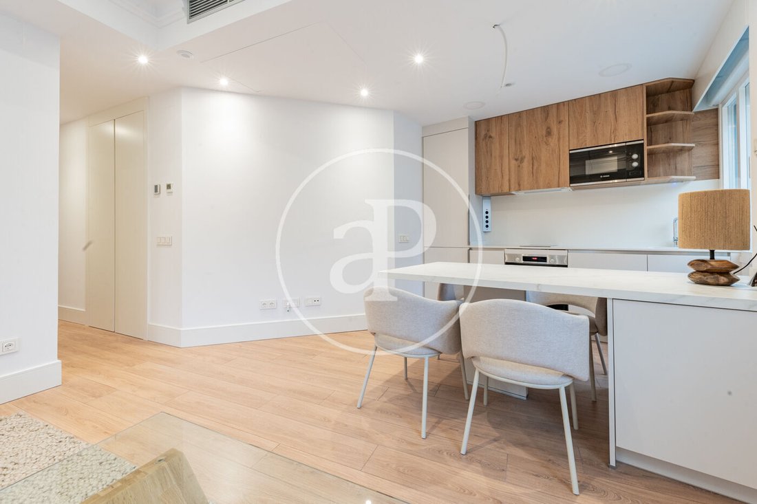 Apartment in Moncloa-Aravaca, Madrid, Spain 3 - 16774528