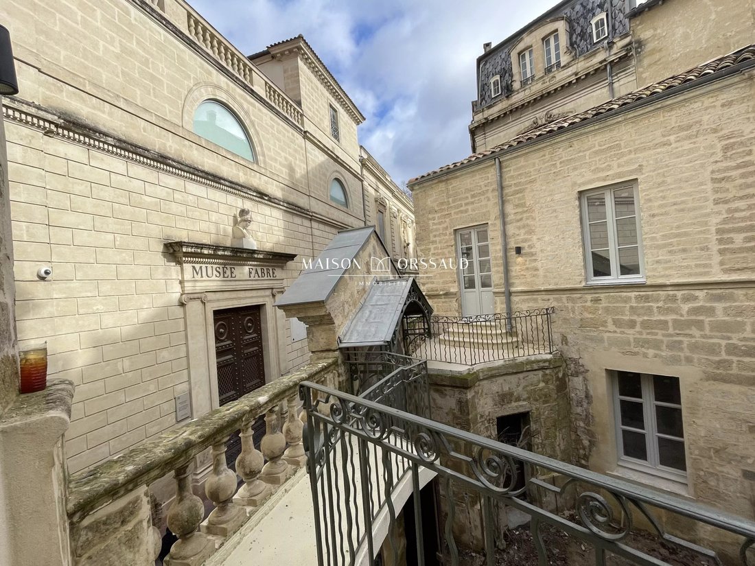 Apartment in Montpellier, Occitania, France 4 - 17099846