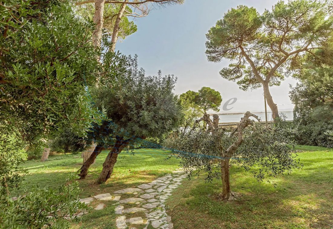 Villa in Castiglioncello, Rosignano Marittimo, Toskana 4 - 17100526