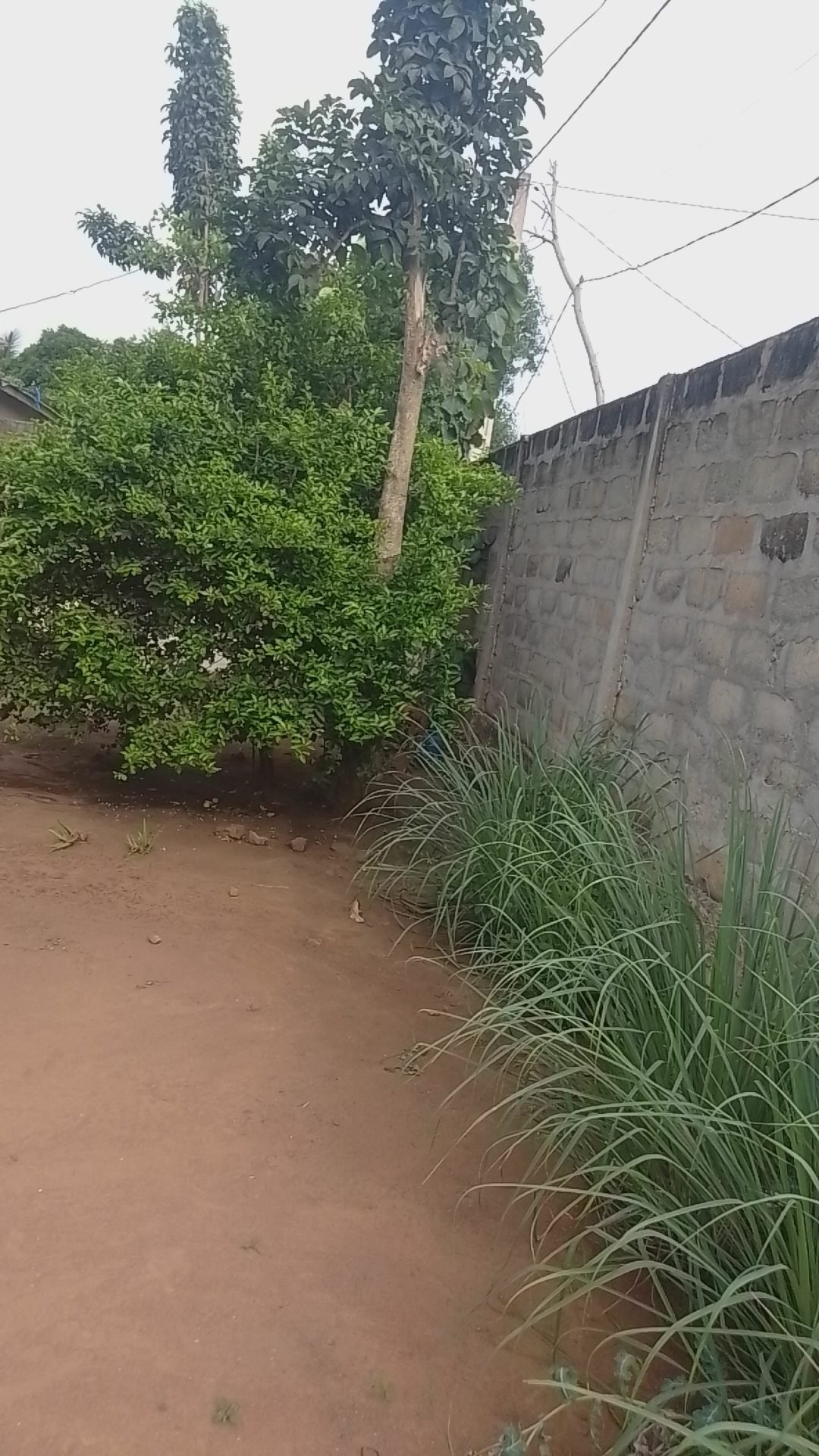 Land in Abomey Calavi, Atlantique Department, Benin 5 - 17112767