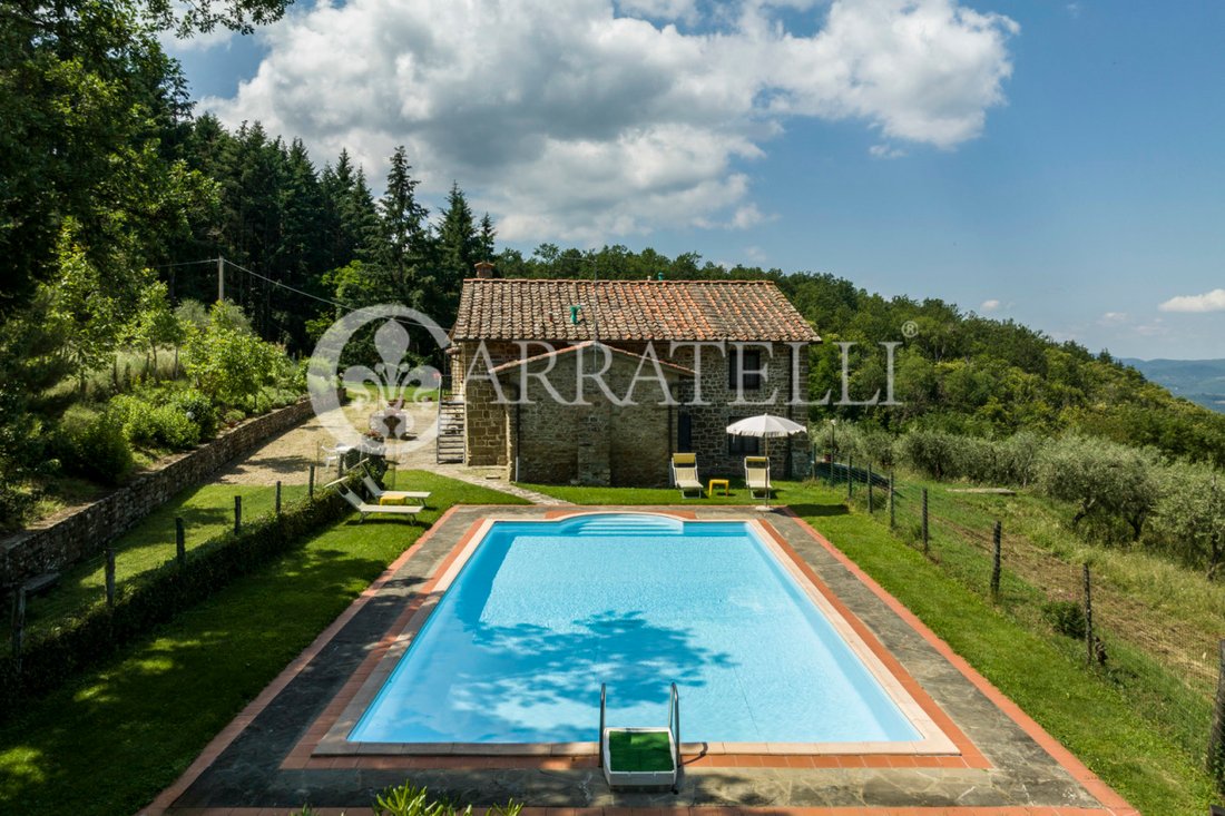 Country House in Pelago, Tuscany, Italy 1 - 12960976