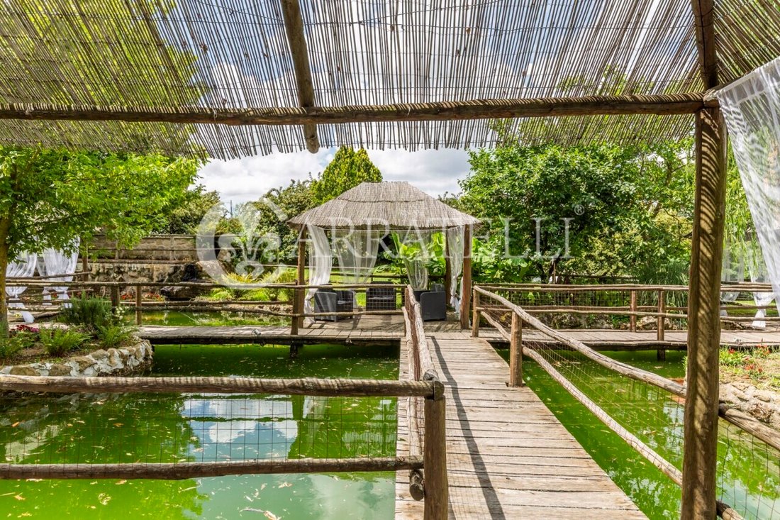 Country House in Pitigliano, Tuscany, Italy 4 - 13023642