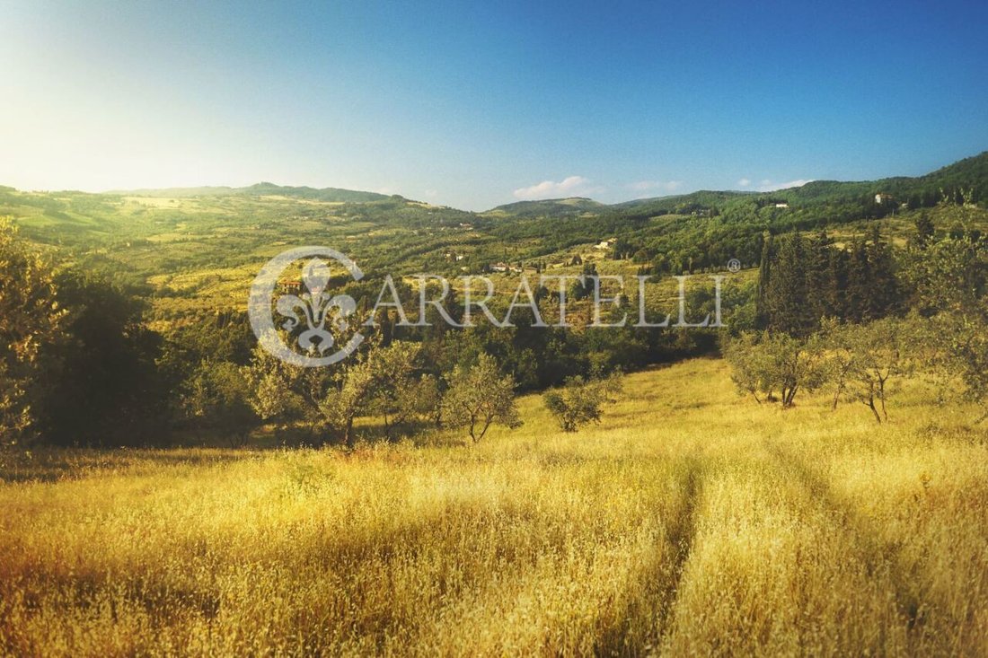 Country House in Castelnuovo Berardenga, Tuscany, Italy 1 - 13608103