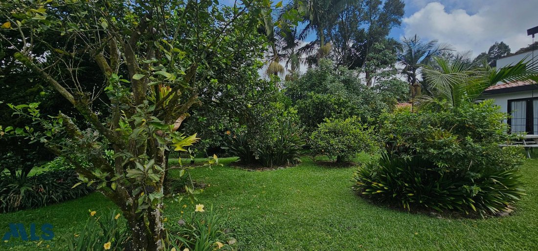 House in Don Diego, Antioquia, Colombia 4 - 17127123