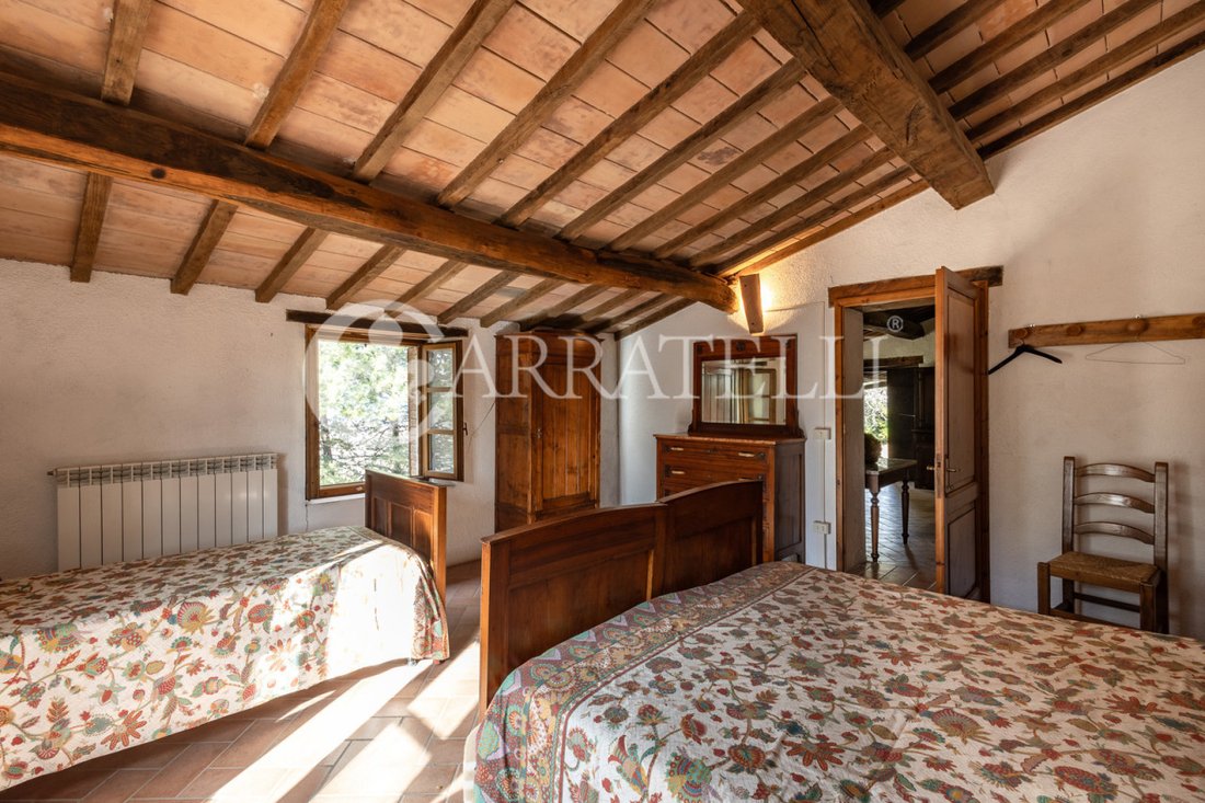 Country House in Castel del Piano, Tuscany, Italy 3 - 15233814